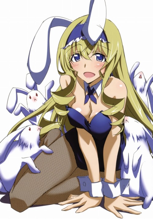 ぴた☆フェチちゃんねる : 虹のバニーガールの画像ください！