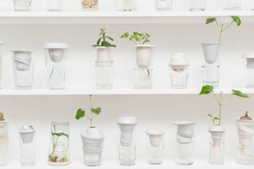 takeovertime:  Plantation | Alicja Patanowska