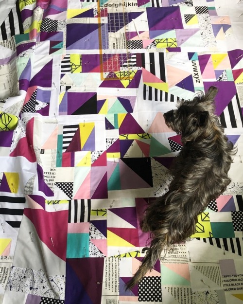 Basting the Ultra Violet quilt: I was really excited to keep working on the Ultra Violet quilt, so I