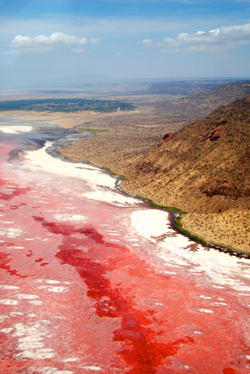 The pink and petrifying lake Natron in Tanzania