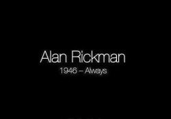 perfectly-imperfect-or-trying:  RIP Alan