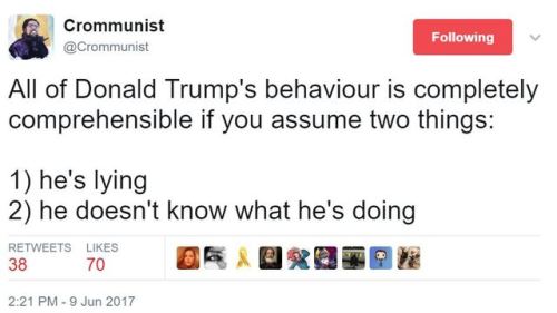 rafi-dangelo:   I love this thread because Trump is obviously a shining example of white male privilege and mediocrity, but his Presidency also flies in the face of the American Dream that’s shoveled down our throats from the time we start school. Study.