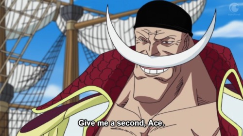 461: The Beginning of the War! Ace and Whitebeard's Past!