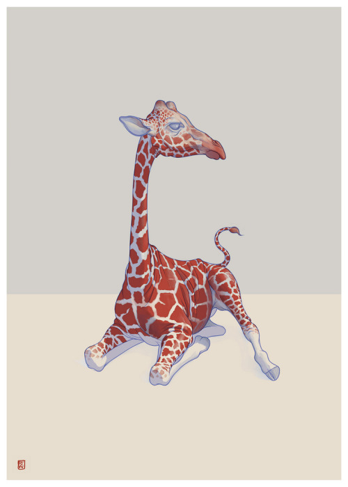 fer1972:  Safari by Richard Wilkinson