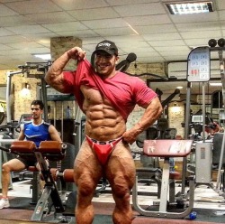 Musclemonsterz:  Ayat Bagheri