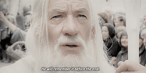 gatissed:“Where does my allegiance lie if not here?” {LOTR, The Return of the King}