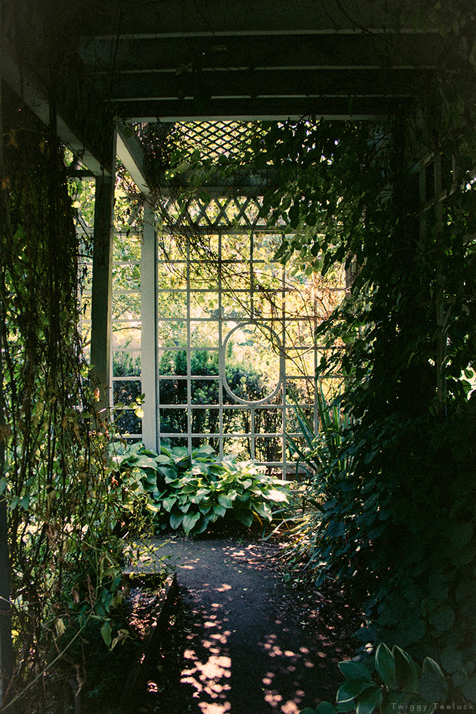 twiggyteeluck:
“Snug Harbor
Staten Island, NYC
”