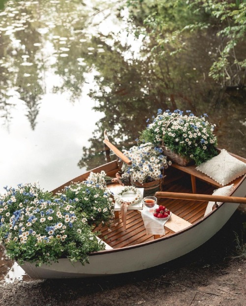 like-fairy-tales: