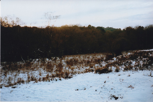 hopeless-vvanderer:  by Jess Gough on Flickr. 