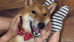 Benwanshiba:  臉部按摩😁 Massage～