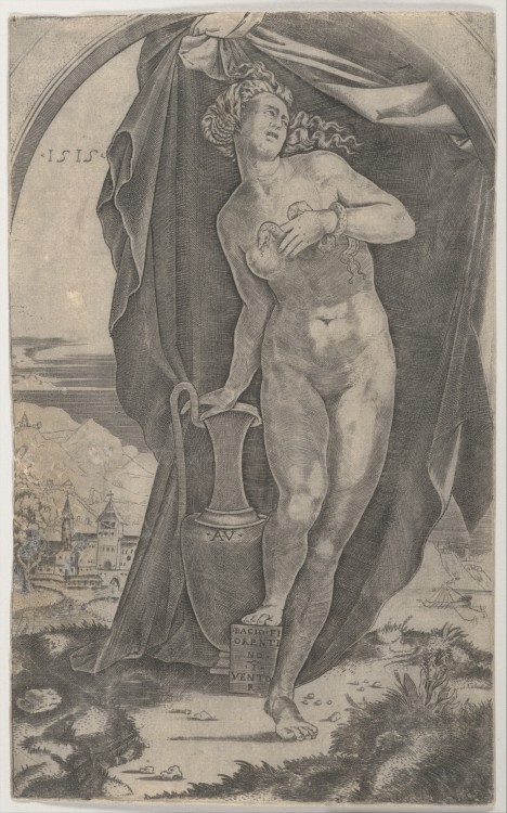 Cleopatra, by Agostino Veneziano after a design by Baccio Bandinelli.