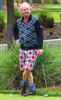 totalfratmove:  Bill Murray’s shorts. TFM