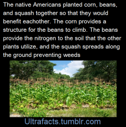 ultrafacts:  Source Follow Ultrafacts for