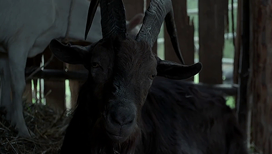 bewarethehorrorblog:  The Witch (2016)