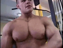 https://69.media.tumblr.com/7db377967d69b12dba85d42d7e2cf559/tumblr_n2c30r7IEE1t3nbvbo1_400.gif