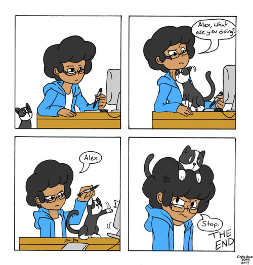 XXX I made a comic about me and my stupid cat photo