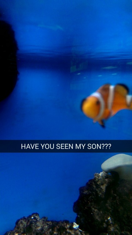 ugly-bread:  I went to a pet store today