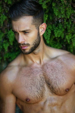 Mett-Inn:  Furrypty:  A Blog To Indulge Your Senses With The Beauty Of The Male Shapes.the