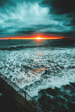 lsleofskye:  Seal Beach Pier