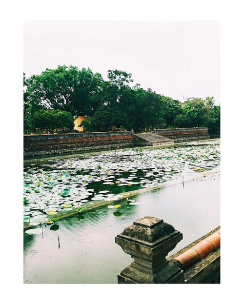 Huế - The Imperial City. #vietnam #vietnamese #huecity #instatravel #wanderlust #travel #vacation #t