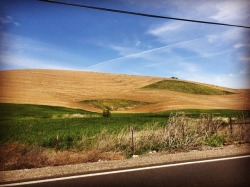 #eastcounty #springtime #qualityoflife  (at Antioch, California)