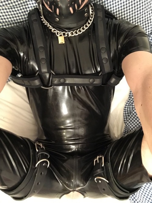 skinrubberlover: tofskipup:Ready to be bred  Turn your darkside into a reality