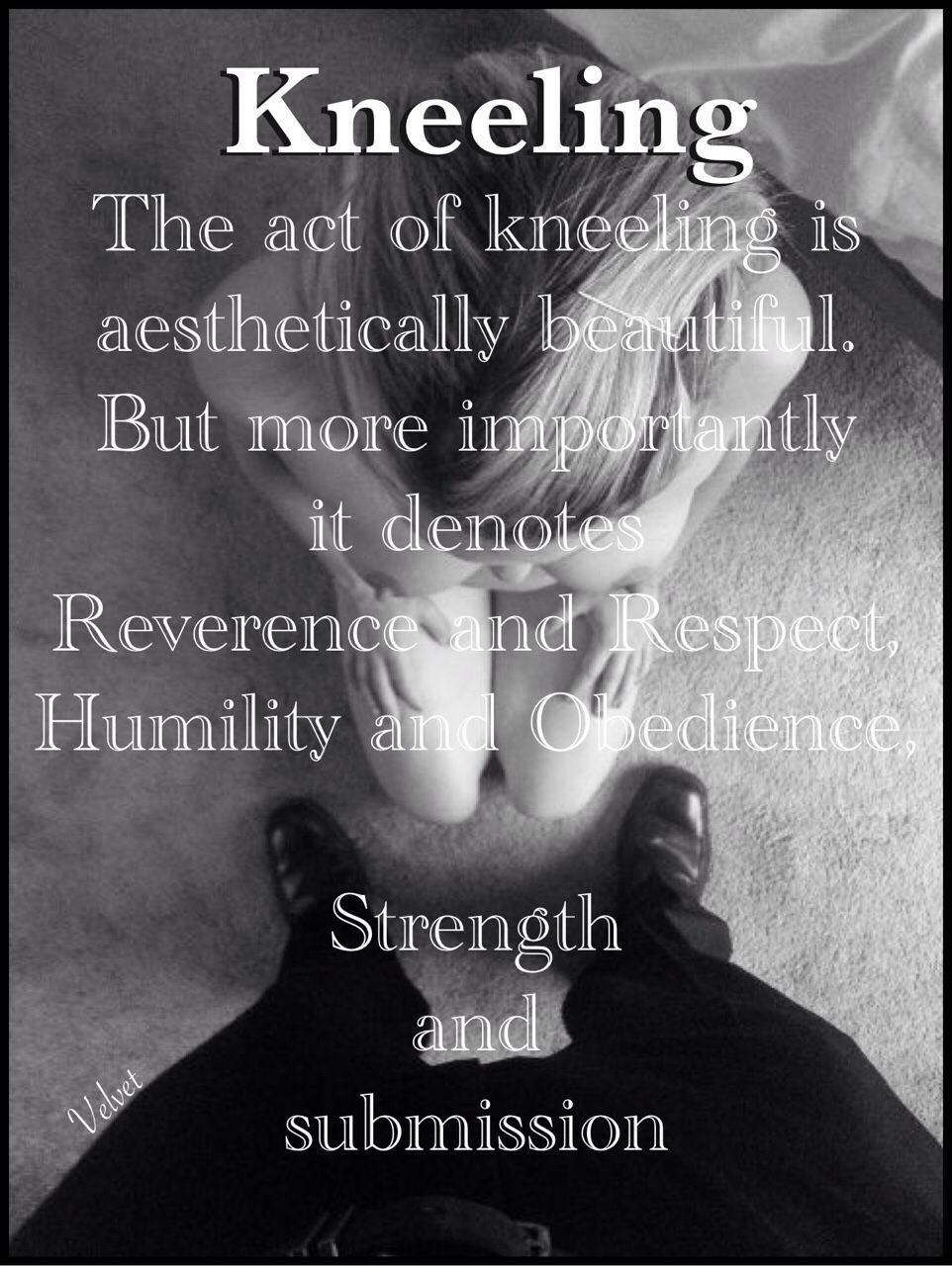 flower-of-melodrama:  callmesirandsuckmycock:  daddysbuttslut-goodkitten2017:  Kneeling.