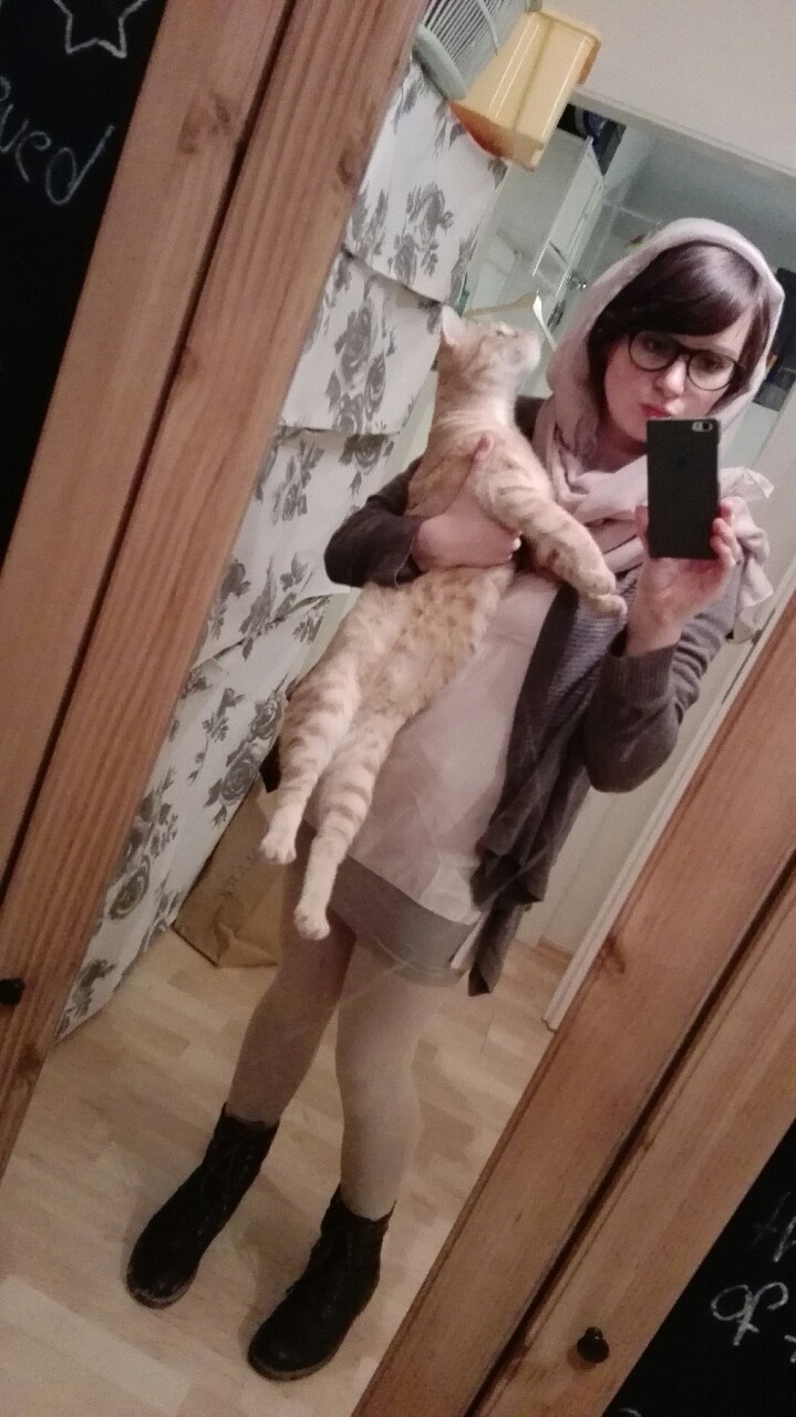 cl-productions:  - modern au rey and finnwith tiberius the cat as bb-8