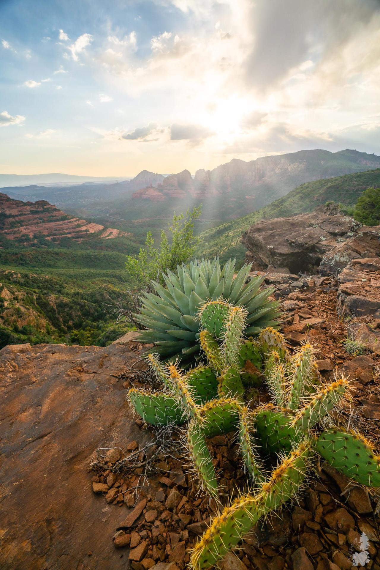 An evening in Sedona [1692x2546] [OC] #earth#images#earth pictures #I love earth  #earth is awesome