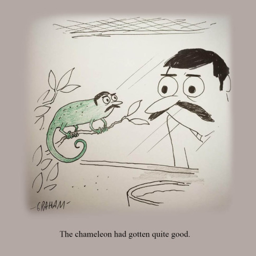 Leaping Lizards! 