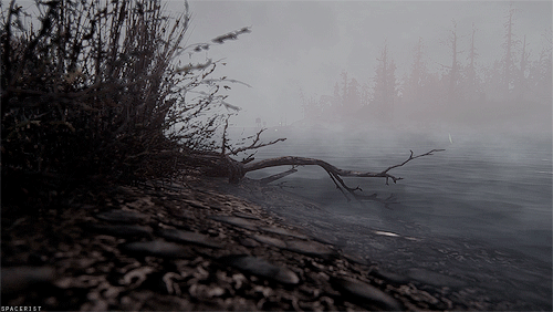 spacerist:Far Harbor