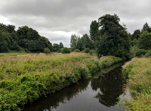 The Luggie Water through the seasonsToday marks a year since I started working at a garden centre, t