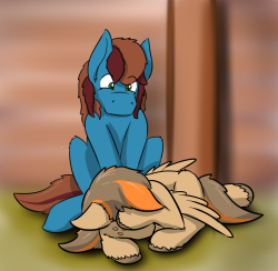 askspades:  Trouble? Trouble, it’s the weekend. It’s the weekend Trouble. Trouble. Can we do stuff? Or are you tired? Tired is okay. I can wait. I’ll wait right here. Until you’re awake. If you need to sleep. Do you need to sleep Trouble? Do you