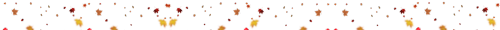  Autumn / Coffee Dividers ౨ৎ ˖ ࣪ ⊹