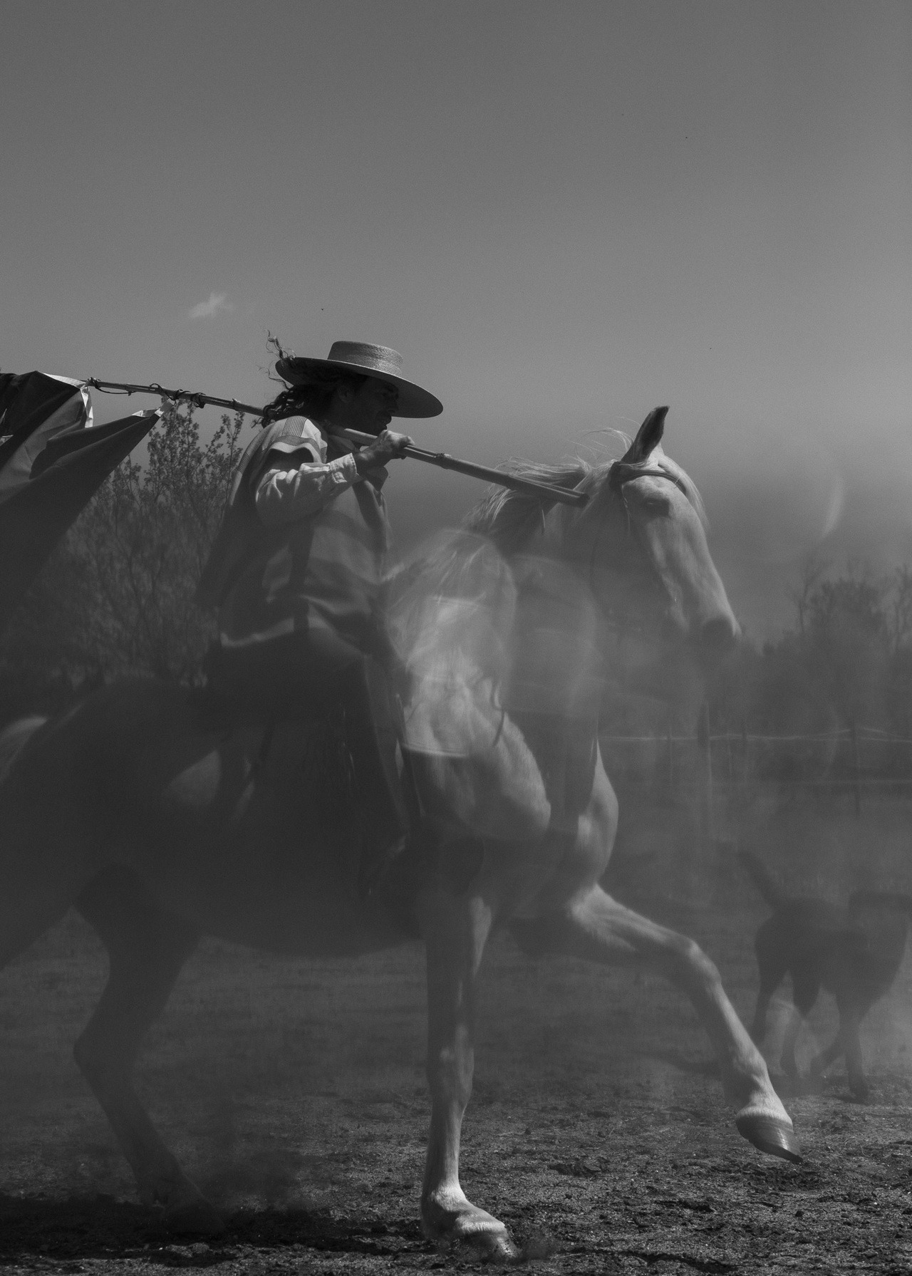 “Land of a Thousand Dances” 2019
Land of a Thousand Dances is a story about Esteban and his family. Living in Belin-Béliet (FR), This Chilean family lives from day to day where time no longer exists. Macarena dances flamenco with her horses while...