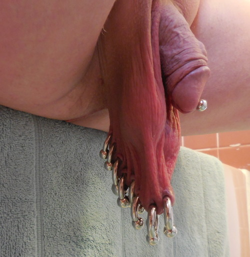 Some shots of a very relaxed scrotum sporting eight rings/barbells, from 6 gauge to 2 gauge.