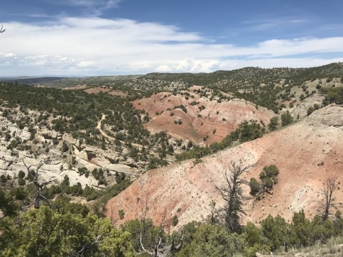 luna-and-mars:oh yeah, I’m back from geology field camp!!!Wyoming is beautiful, I have many more pic