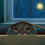 scardey-cat