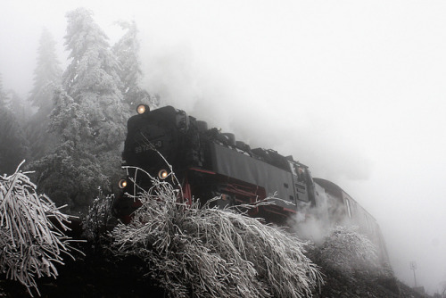 Train Harz by Søren Primdal on Flickr.