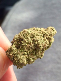 bongmeblazer:  Green Crack~