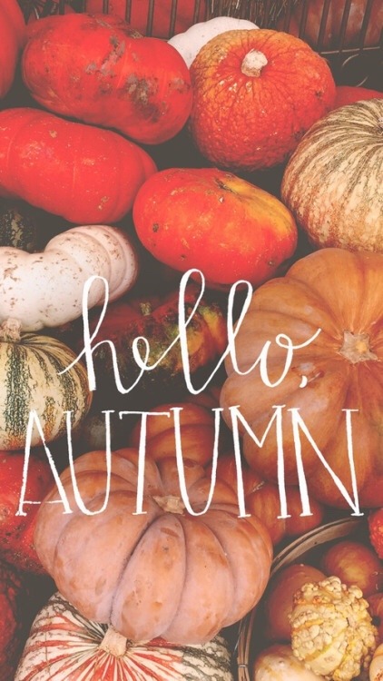 autumnwintervibes:  Hello Autumn 🍂