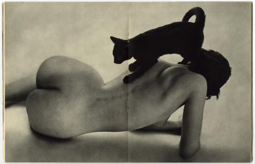 nobrashfestivity:   Peter Martin, Strange Female Nude with Cat II, 1951   From Figure Magazine more 