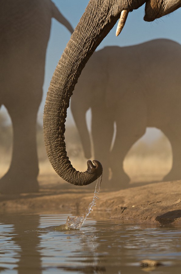 burning-soul:  Photograph by Keith Connelly Photographics on 500px 