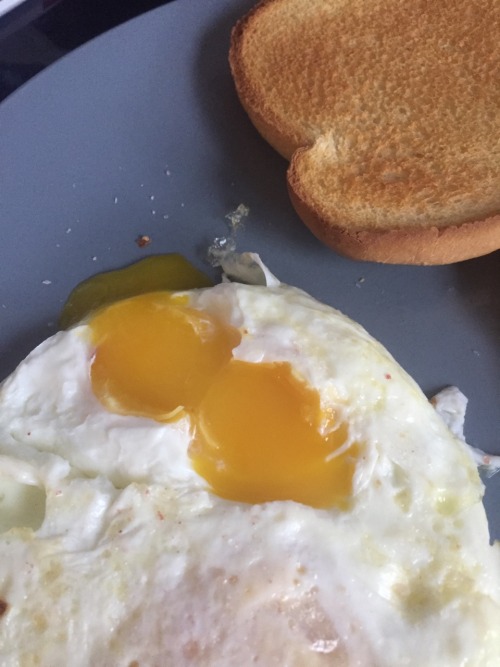 getfitluv:My pet hen Alara laid her first egg yesterday so I ate it for breakfast lol. It happened t