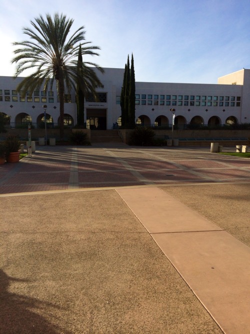 chanyounot:  Scenery pics: first 3 were from a train ride and the rest are at sdsu!