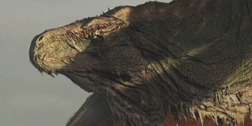 Also A Very Happy Mothers Day To This Dragon Mama That Gets Forgotten ALL THE TIME Despite Most Likely