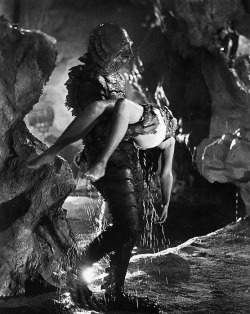 universalmonsterstribute:   Creature From The Black Lagoon (1954) 