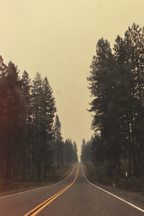 r2–d2:  he's makin' his way up the street by (roadkill rabbit) 