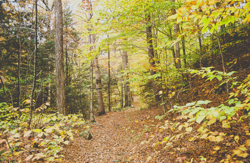 havefilm-willtravel:  Bridal Veil Falls  White Mountain National Forest New Hampshire, USA Fall 2013