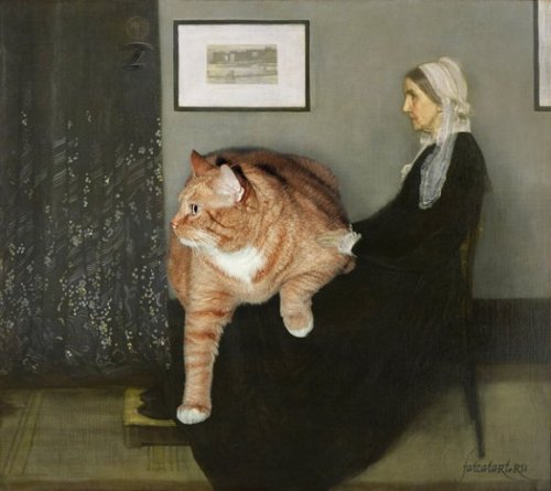 archiemcphee:Russian artist Svetlana Petrova has an awesome marmalade cat named Zarathustra whom she